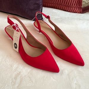 Beautiful Kitten Red Heels